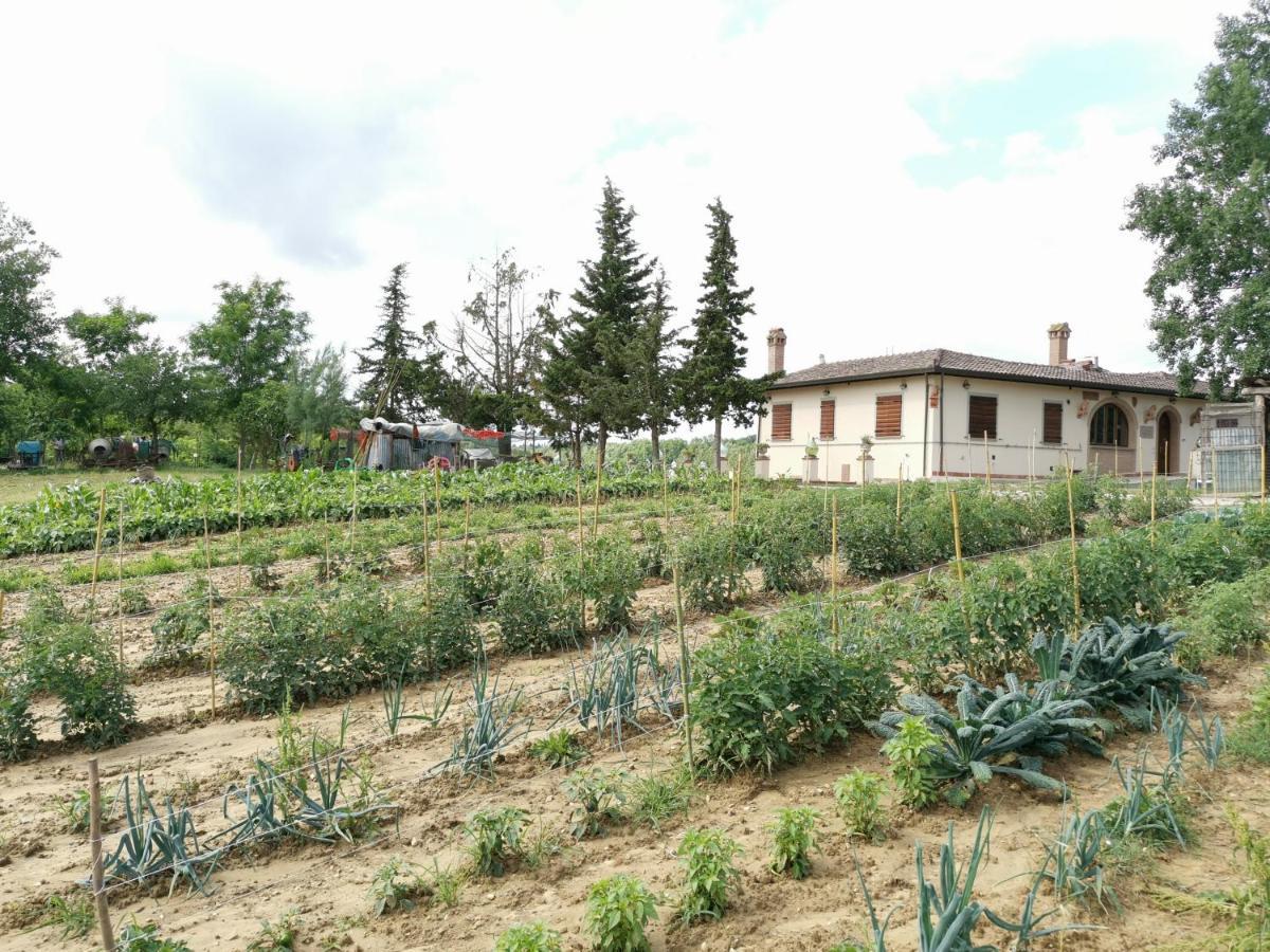 Masseria Le Querciole Fauglia Экстерьер фото